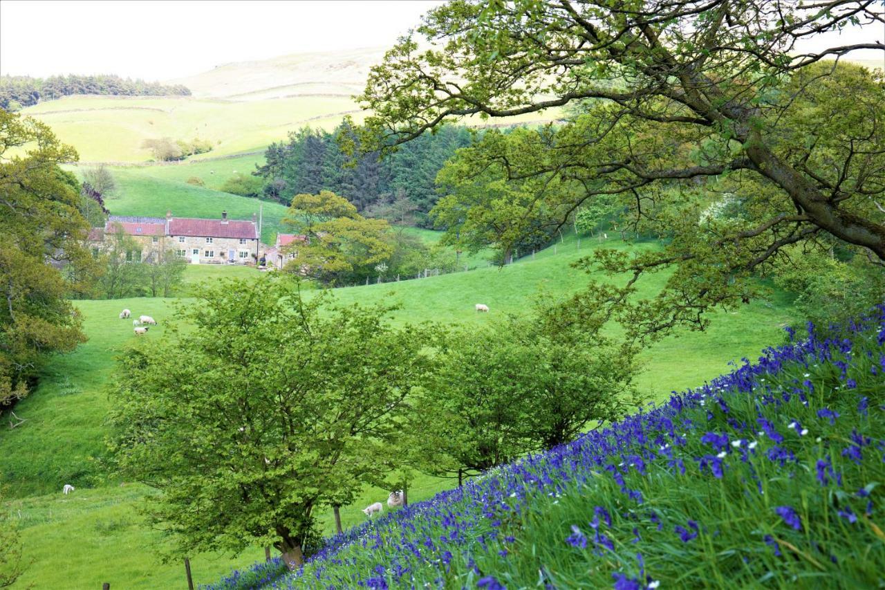 Bluebells Cottage Chop Gate Dış mekan fotoğraf