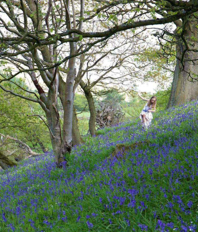 Bluebells Cottage Chop Gate Dış mekan fotoğraf